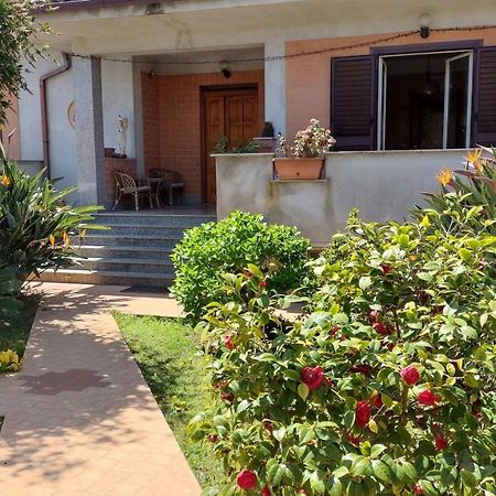 Villa Grazia Ladispoli Exterior foto